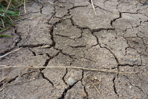 Trockenheit