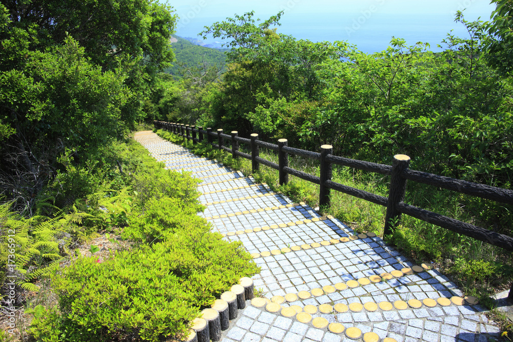 遊歩道