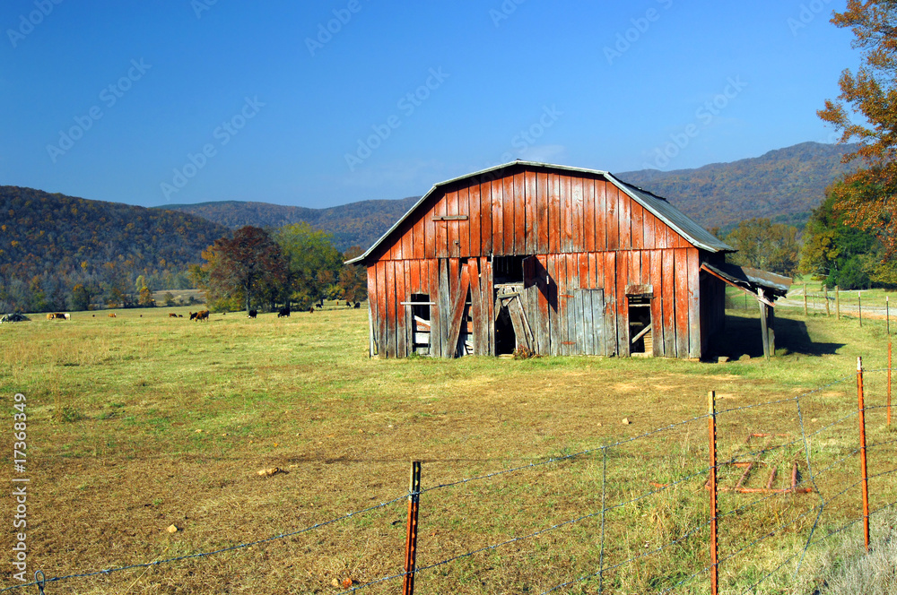 Arkansas Barn