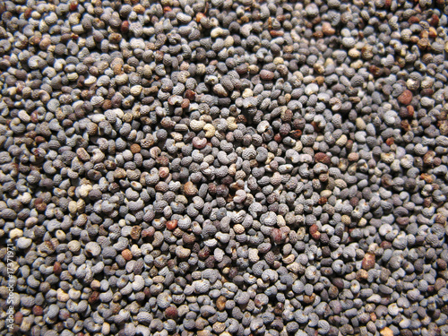 Poppy seeds