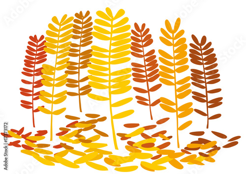 autunno