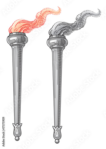 Torch vector