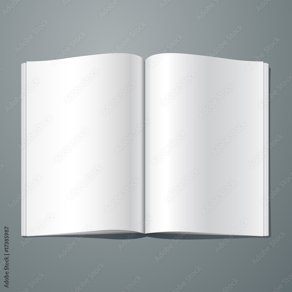 Vector blank magazine spread. Editable. No mesh. Vector blank magazine spread. Editable. No mesh.