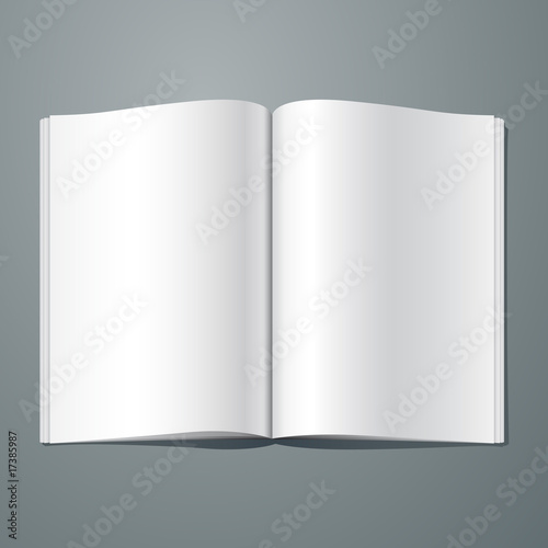 Vector blank magazine spread. Editable. No mesh.
