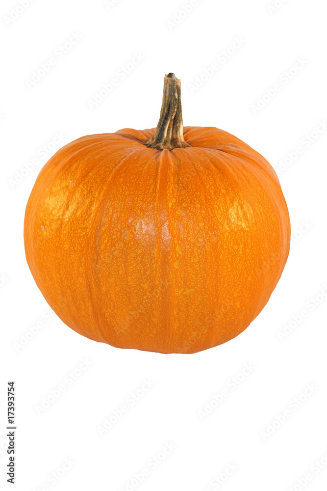 pumpkin pumpkin