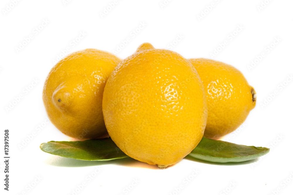 lemons lemons