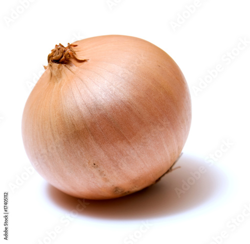 onion isolated on white background