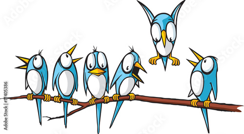 Birds on a limb