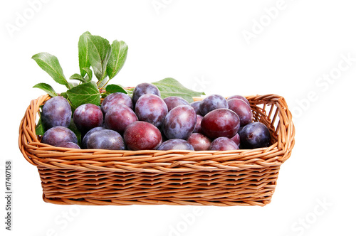 Wooden basket and juicy plums in it .