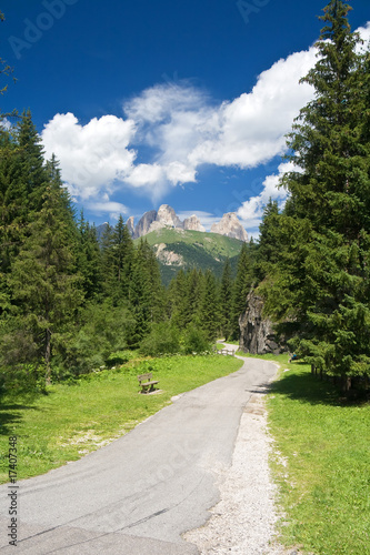 paesaggio alpino in Val di Fassa © Antonio Scarpi