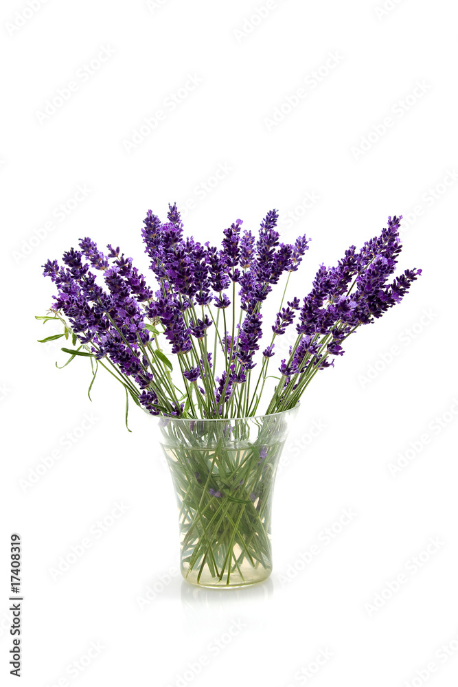 Naklejka premium plucked lavender in glass vase over white background