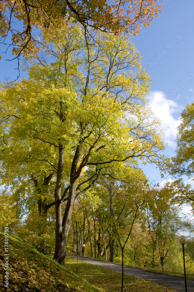 Sunny day in autumn park.