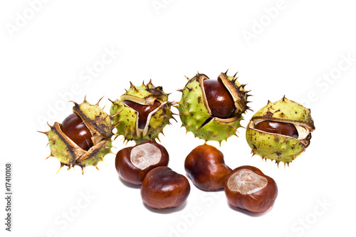 isolated chestnuts