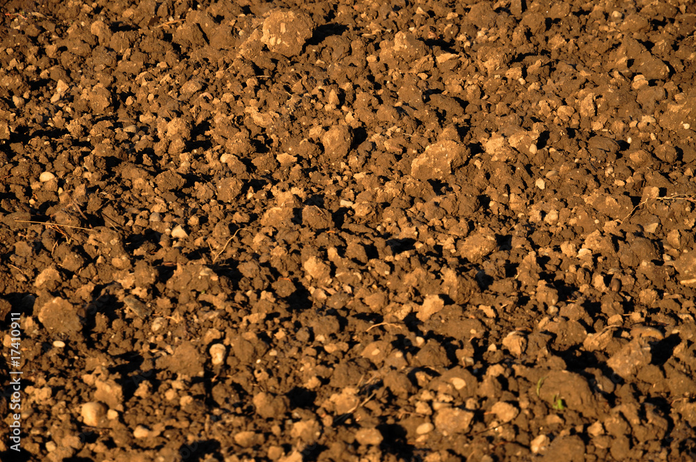 Soil Soil