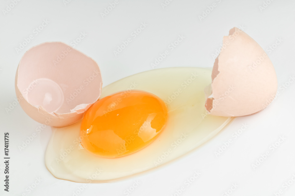 egg