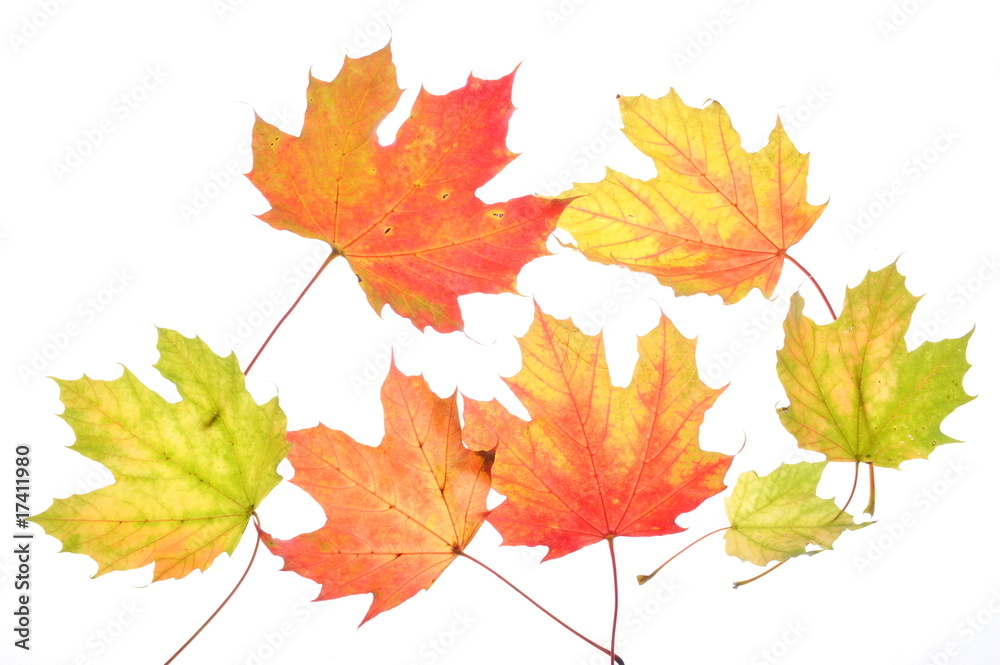 herbst herbst