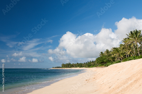 Beach on the north shore of Oahu, Hawaii