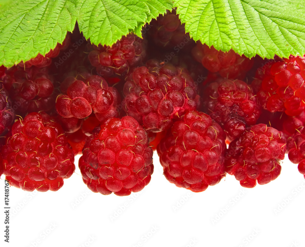 raspberry background raspberry background