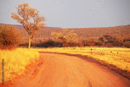 African landscapes