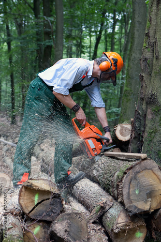 Lumberjack with protective clothing