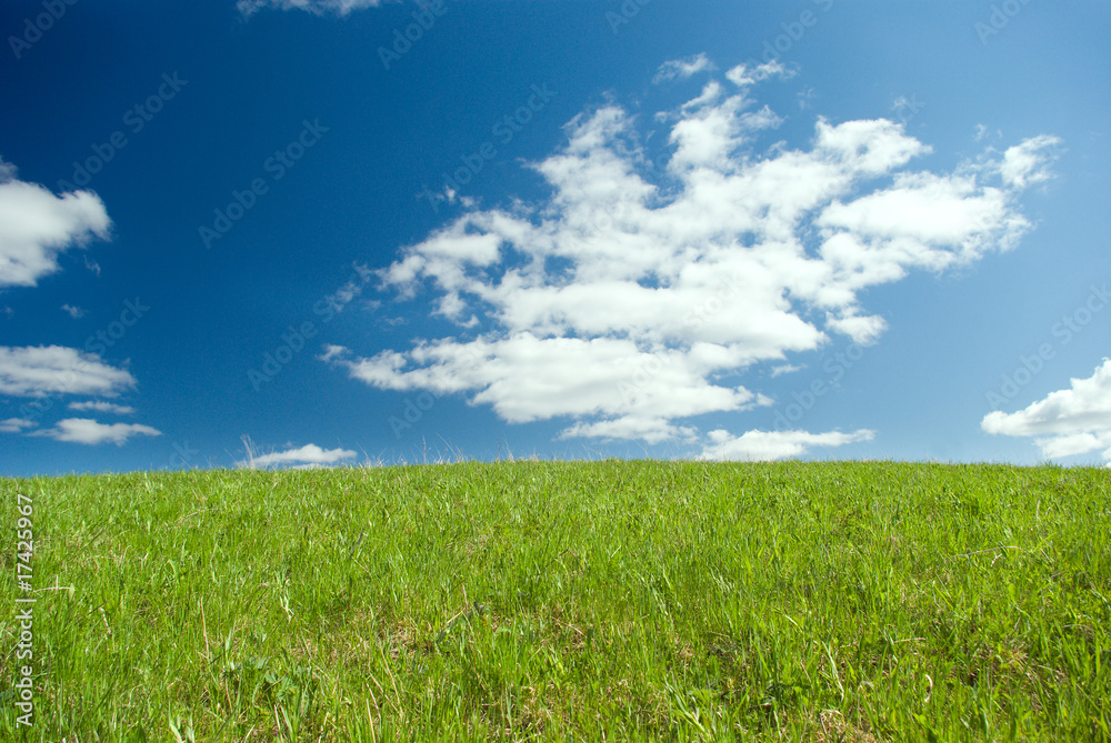 Beautiful Green Meadow with white clouds Beautiful Green Meadow with white clouds
