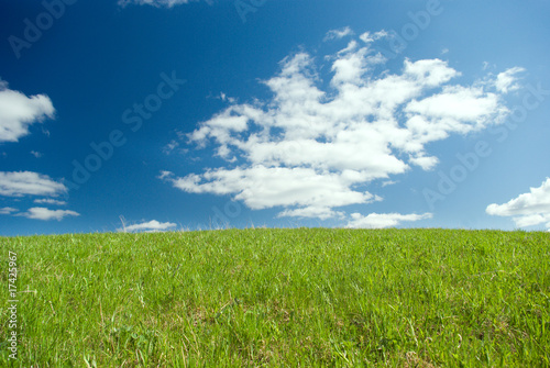 Beautiful Green Meadow with white clouds