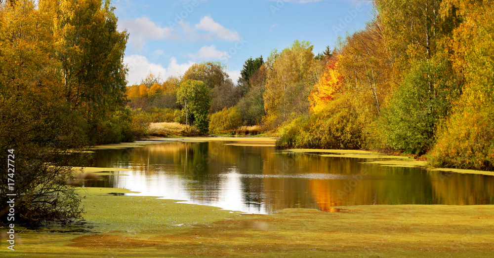 autumn landscape