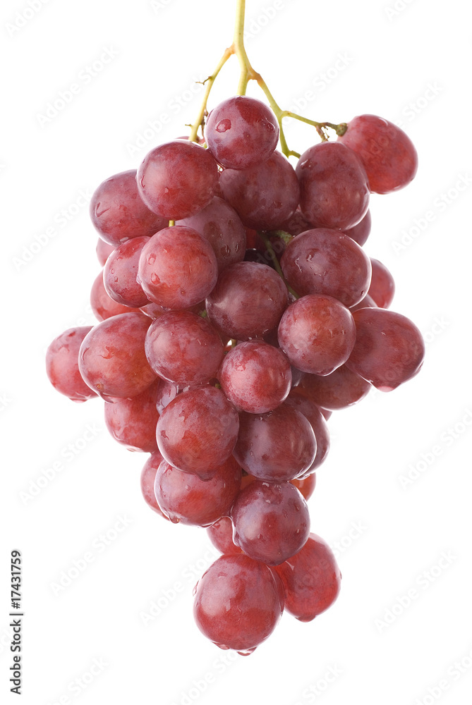 Fototapeta premium Fresh grape cluster isolated on white background