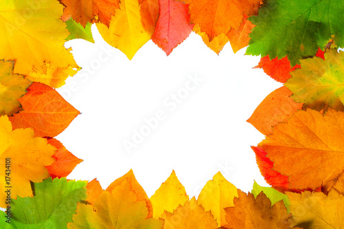 Decorative frame from bright autumn leaves isolated