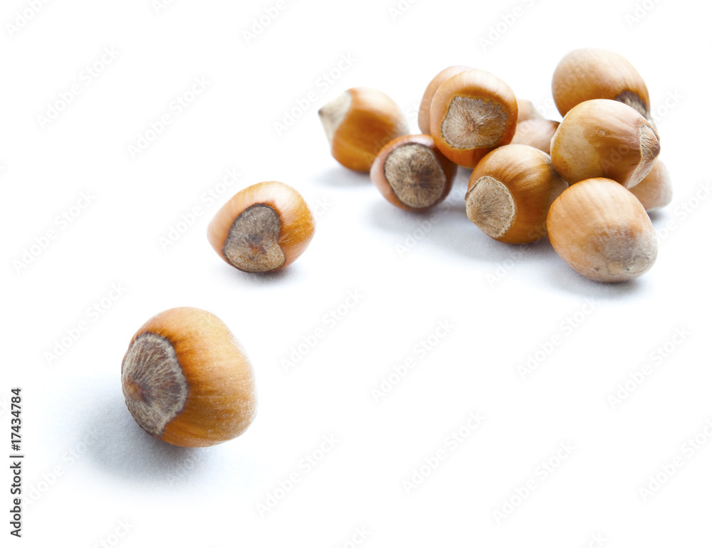 Heap of brown hazelnuts isolated on white Heap of brown hazelnuts isolated on white