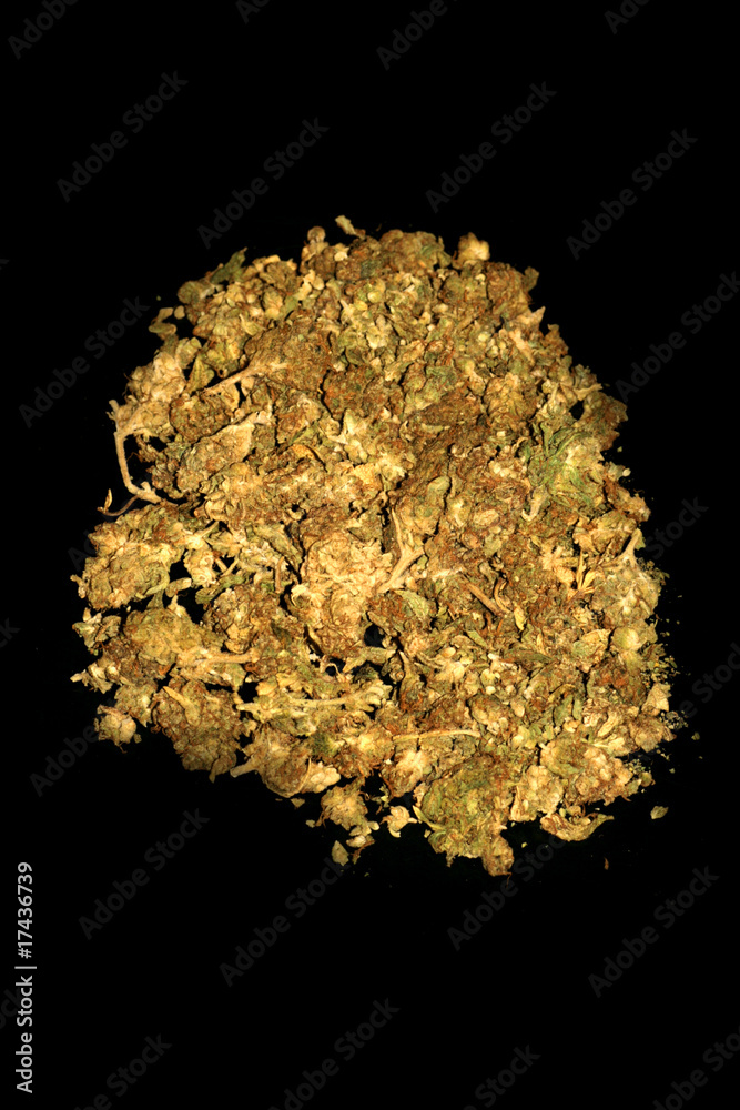 marijuana marijuana