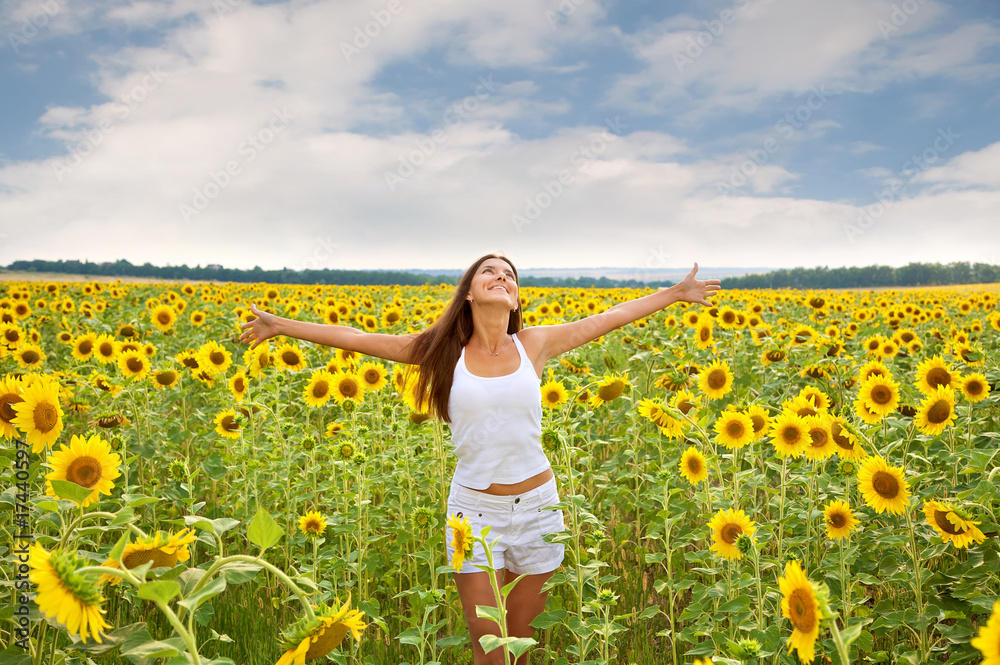 Fototapeta premium Sunflower