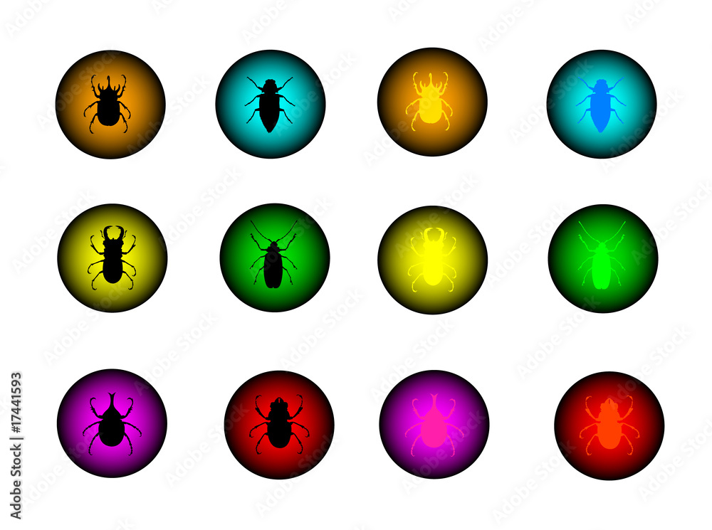 insect button insect button