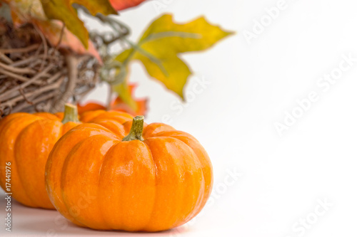 Miniature pumpkins with a fall wreath - space on right for text