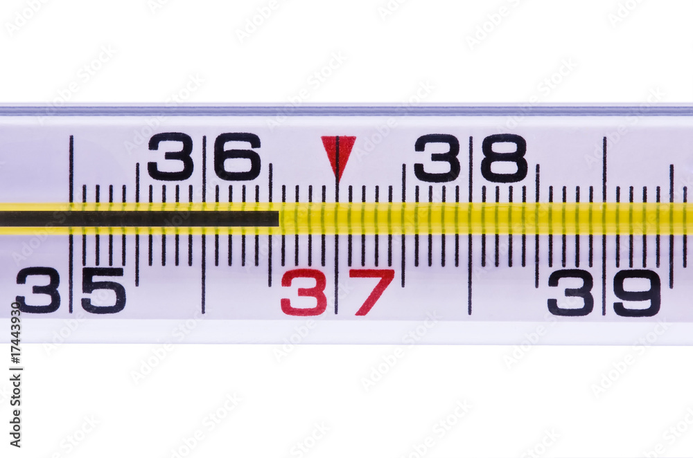 Thermometer for measurement of a body temperature 36-6 Thermometer for measurement of a body temperature 36-6