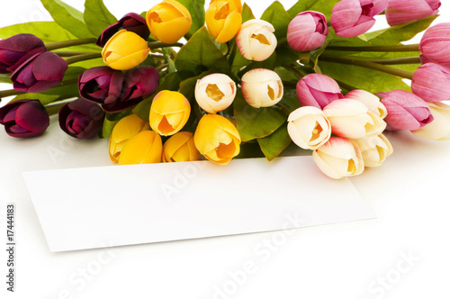 Wallpaper Mural Tulips and blank message isolated on white Torontodigital.ca
