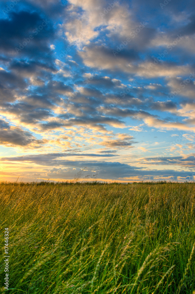 beautiful skies above the field