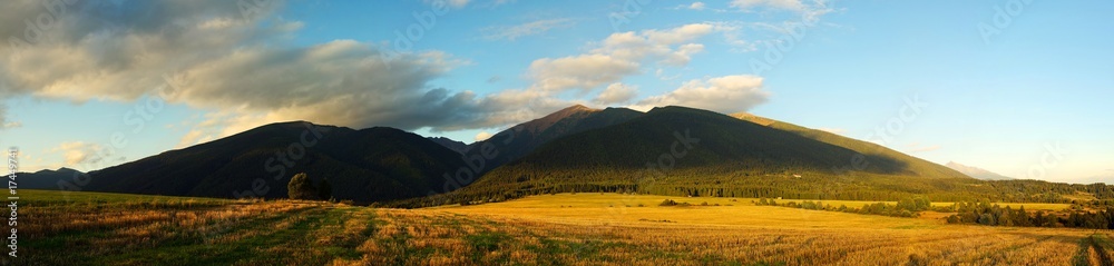 Panorama of mountain fields and meadows
