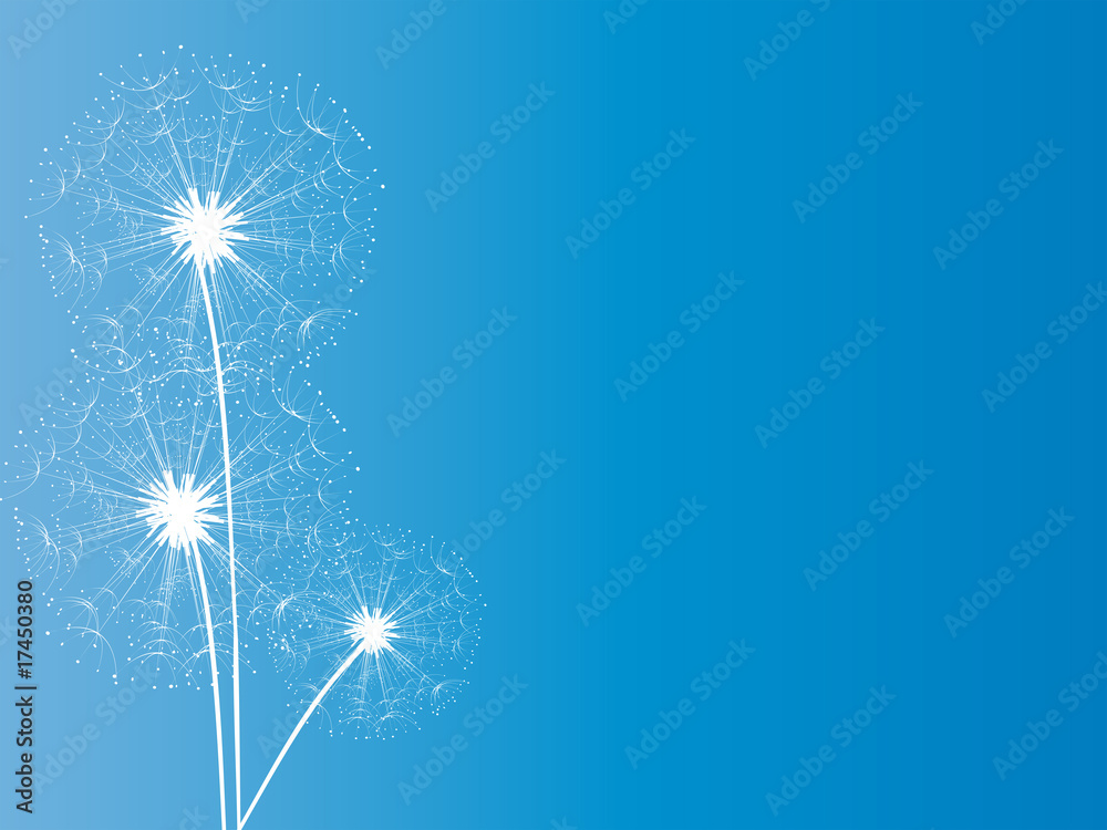 Pusteblume Pusteblume
