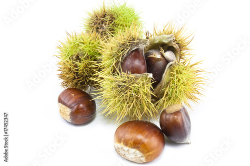chestnuts in case