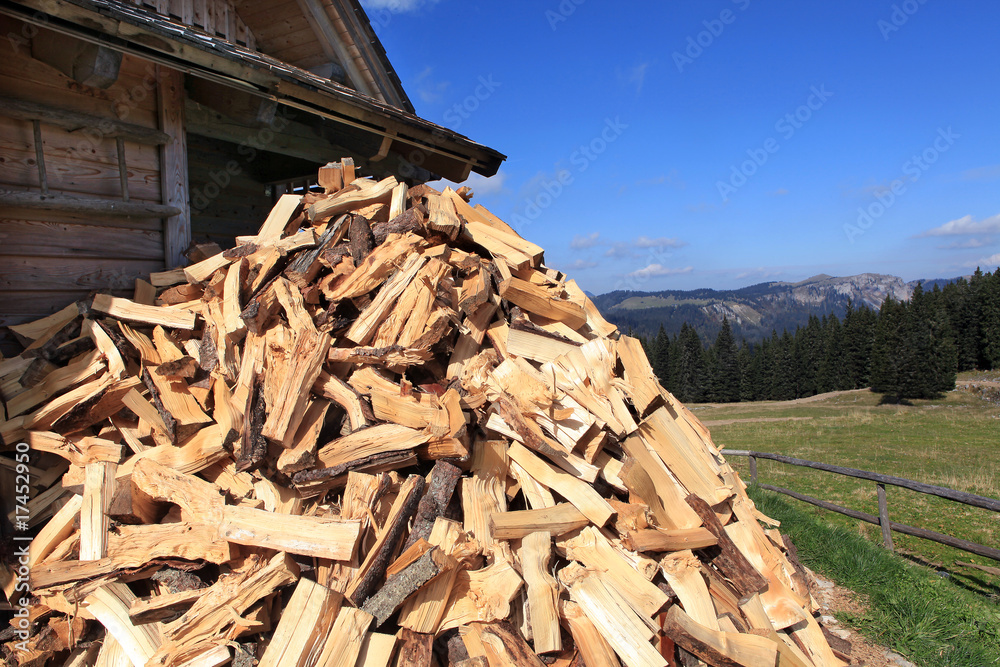 Holz vor der Hütte - firewood near the hut Holz vor der Hütte - firewood near the hut