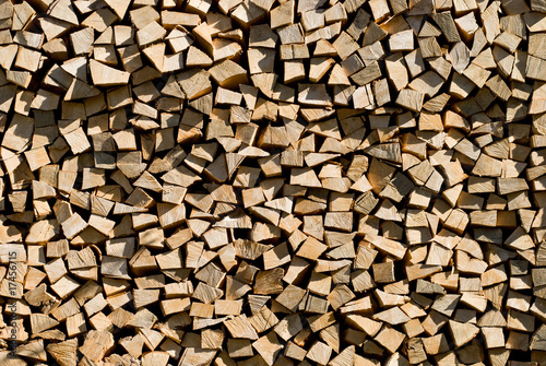 Texture of wood logs