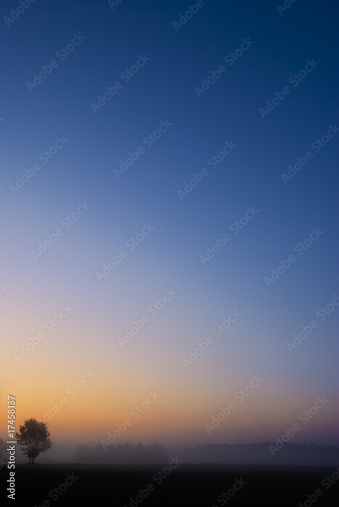 Single tree with vibrant blue orange sunrise sky