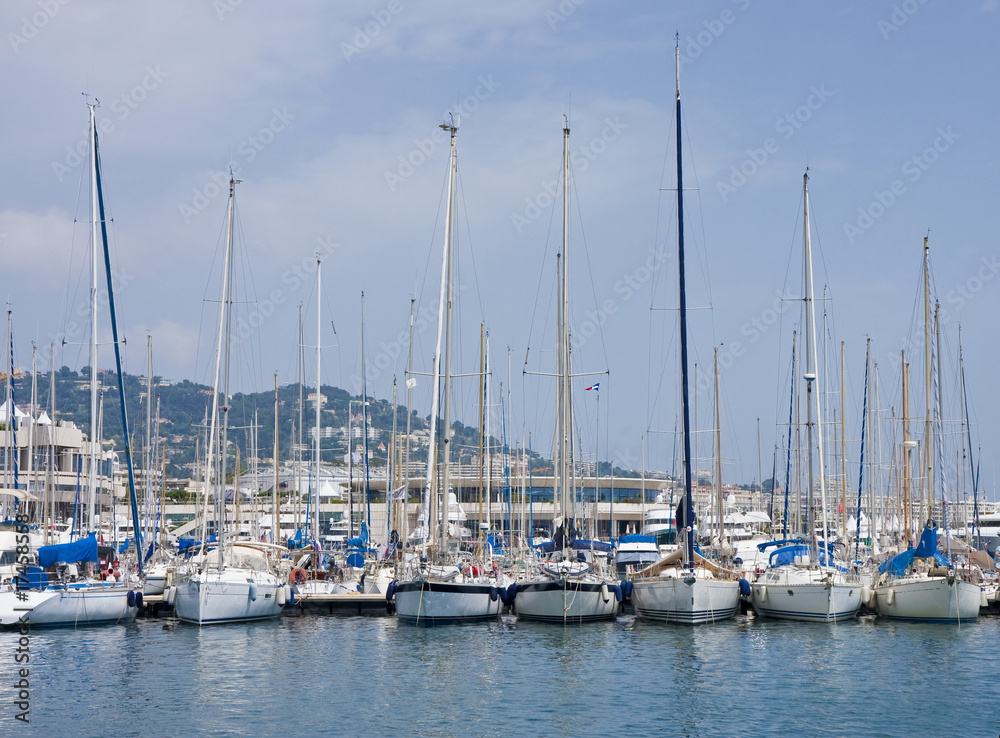 White Sailboats on Blue Water in Marina