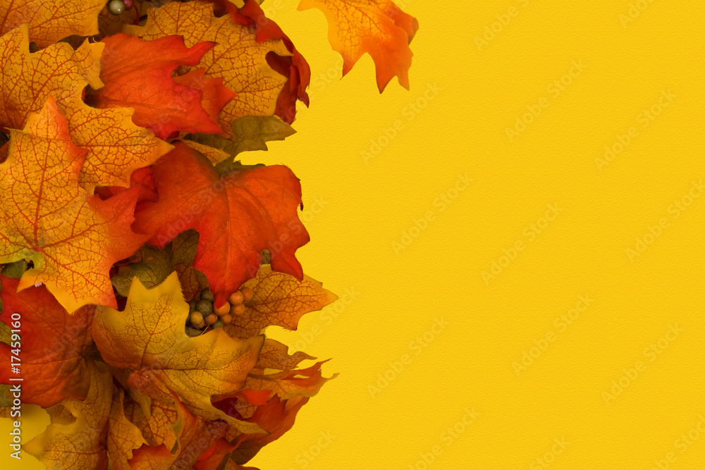 Obraz premium Fall Border