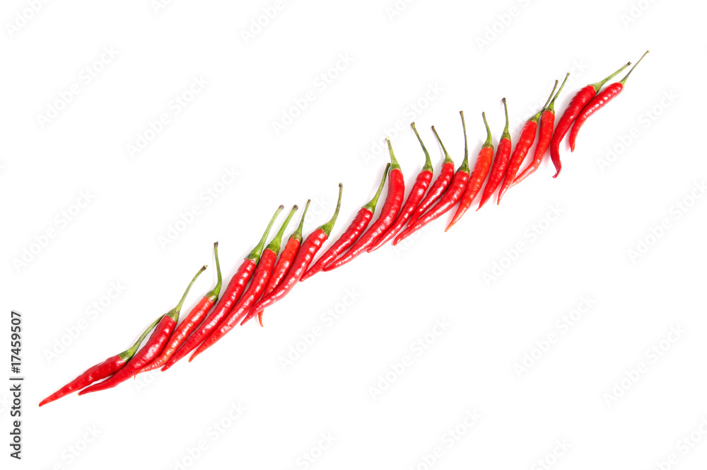 Red peppers on a white. Red peppers on a white.