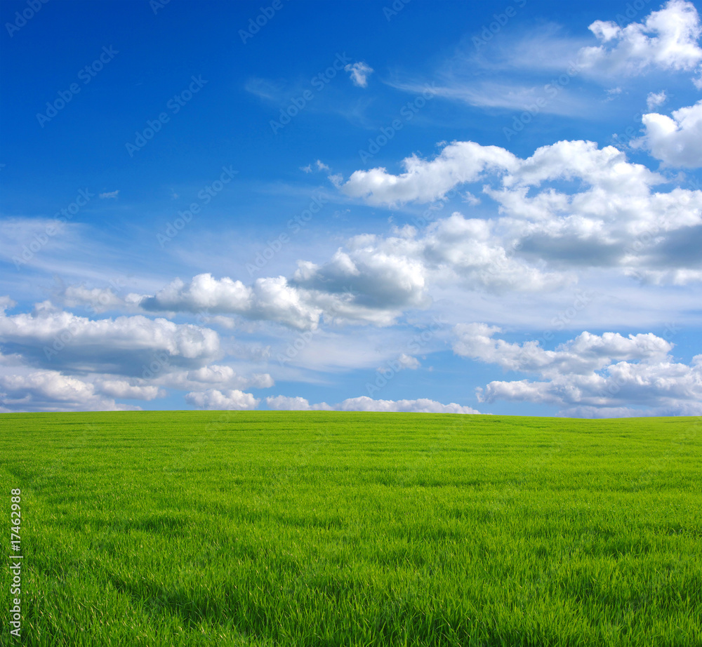 field field