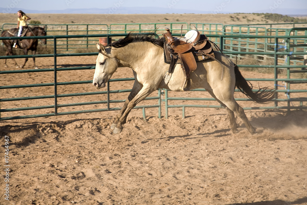 Horse bucking