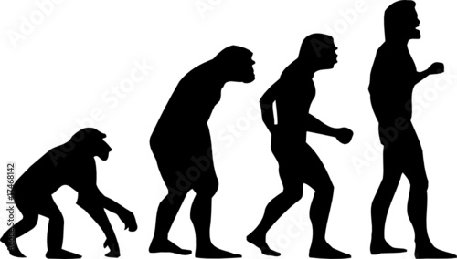 human evolution photo