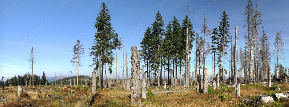 Obraz premium summit of Hranicnik